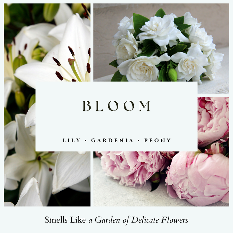 "Bloom" Wax Melts